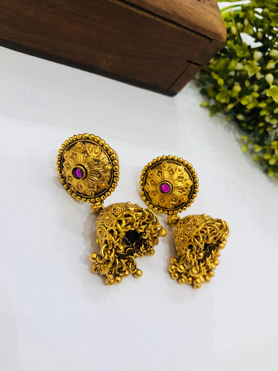 Ruby Stone Circle Earrings