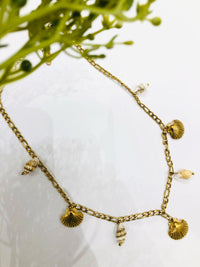 Thumbnail for Golden Multi Shell Chain