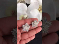 Star Shape Stud Earrings Zayn Luxury Jewellery