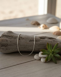 Thumbnail for 925 Snake Silver Anklet